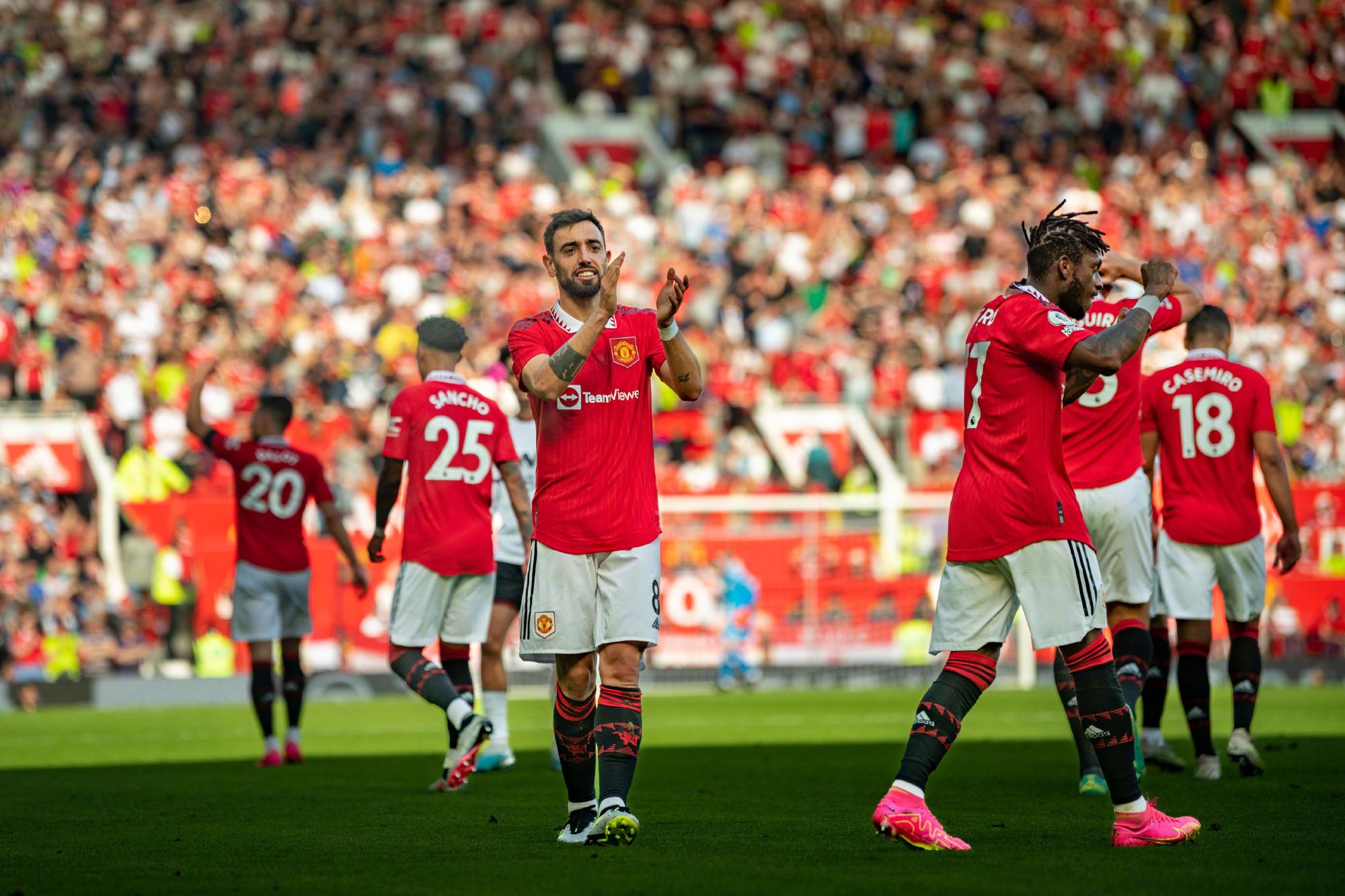 分析类似案 分析类似案